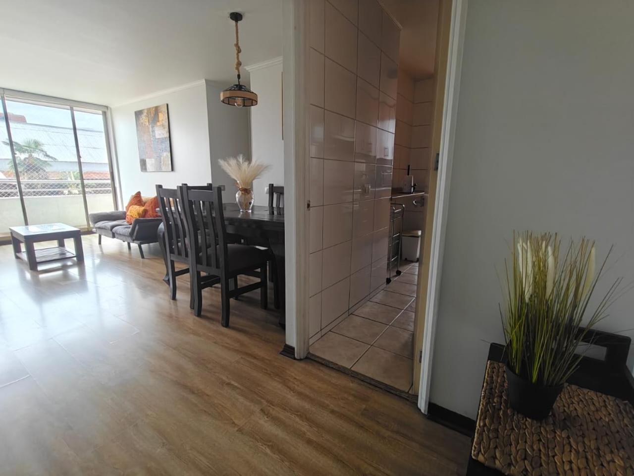 Esplendido Departamento En Providencia Apartment