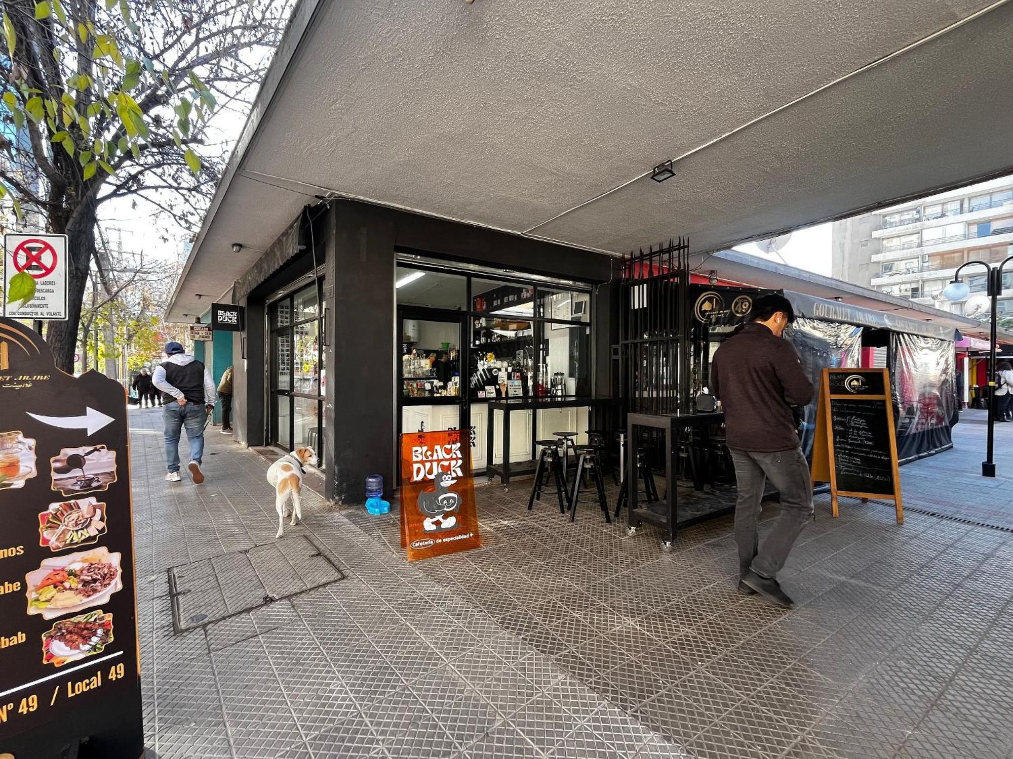 Living Pastene * Santiago