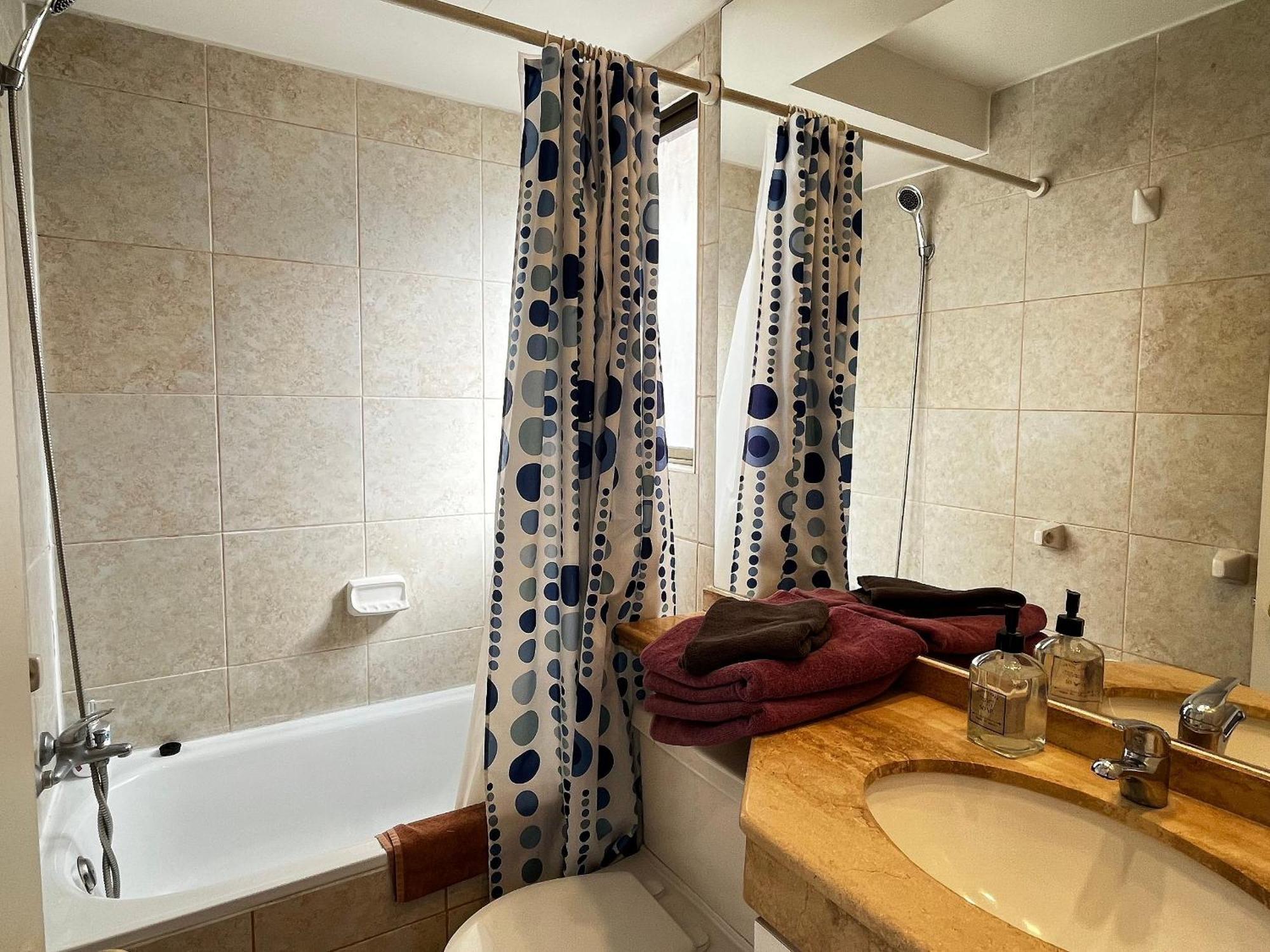 Living Pastene Apartment Santiago