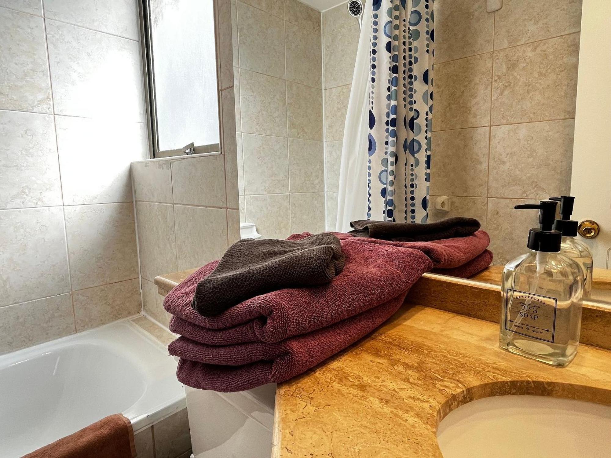 Living Pastene Apartment Santiago