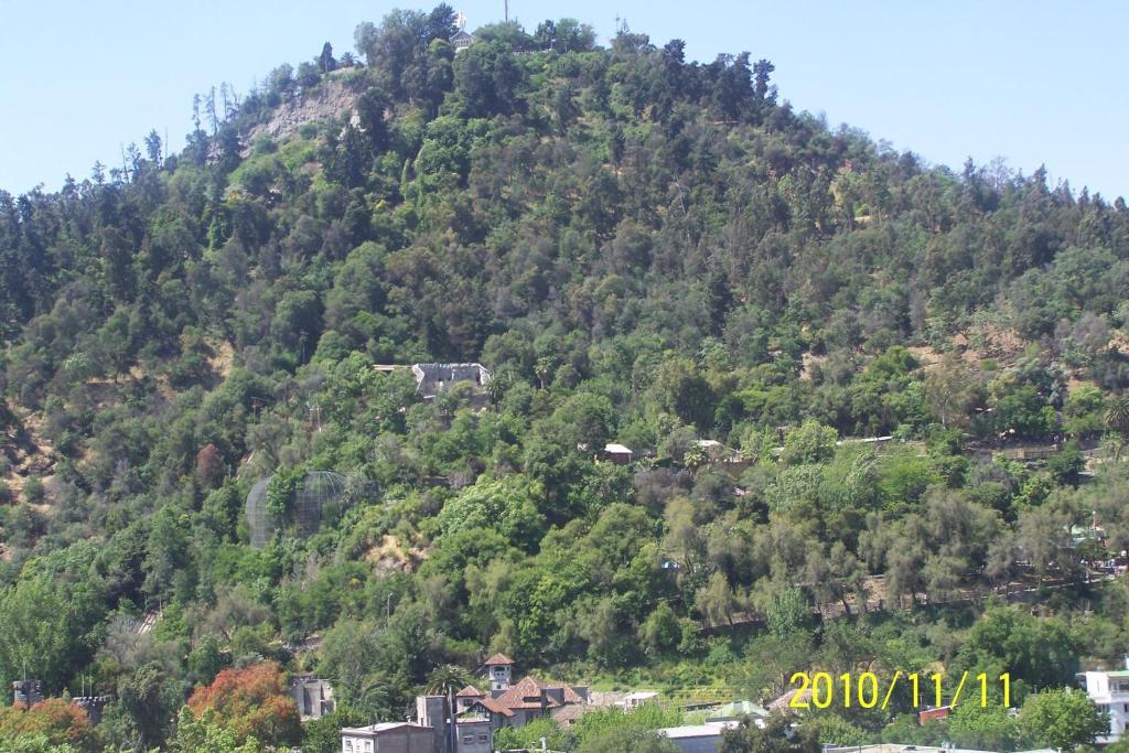 Apartment Bellavista Forestal