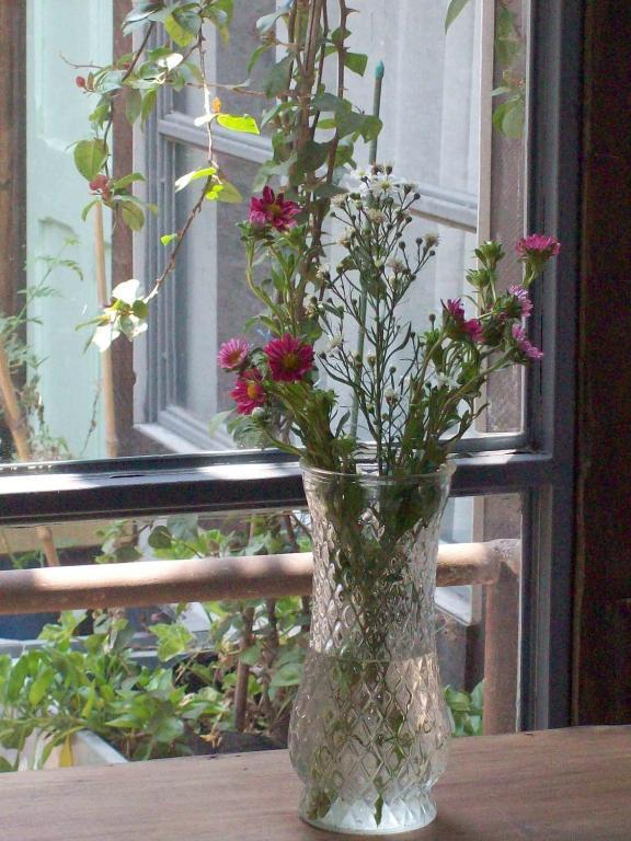 Patio Yungay Bed & Breakfast