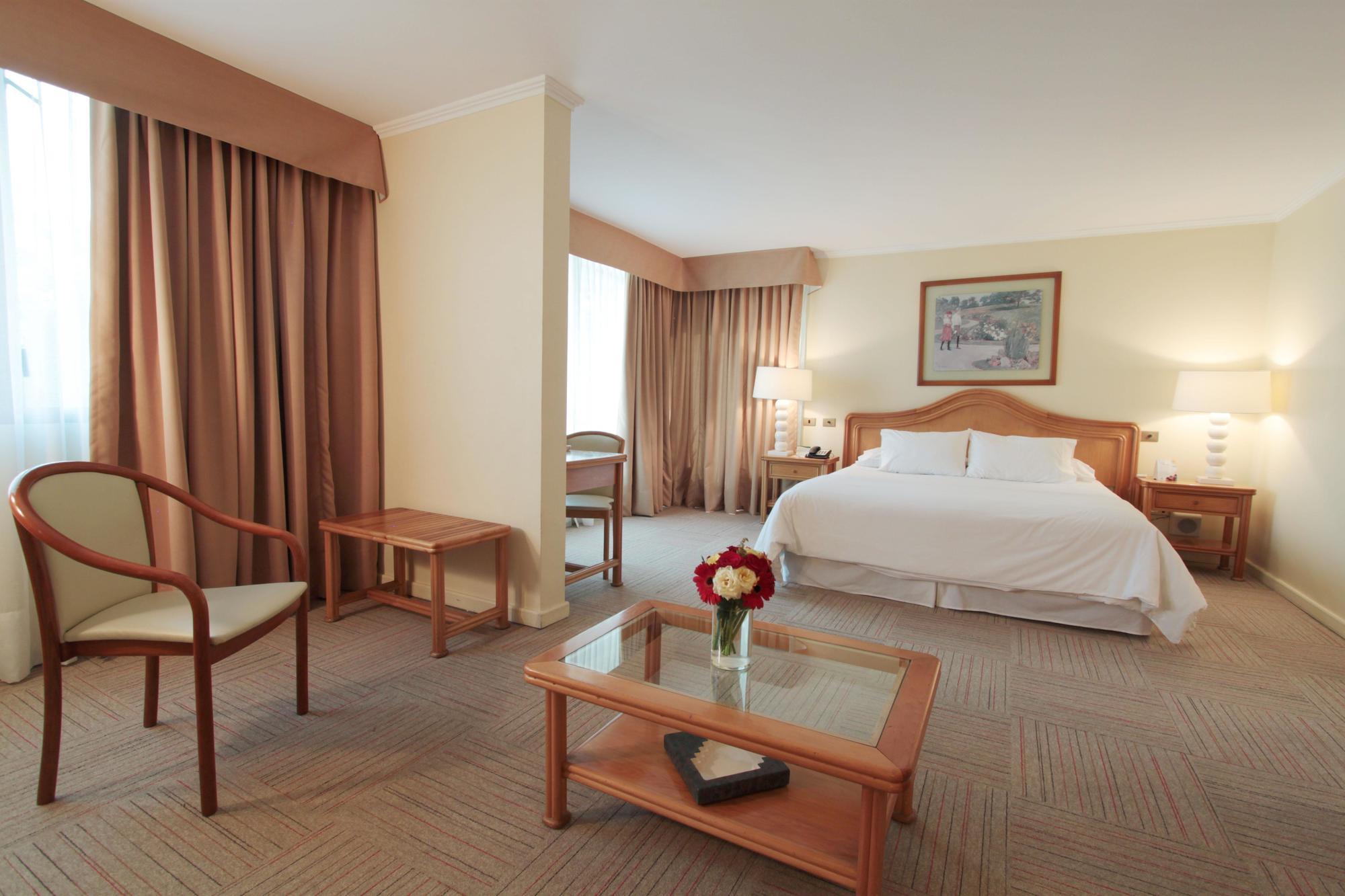 Hotel Torremayor Lyon