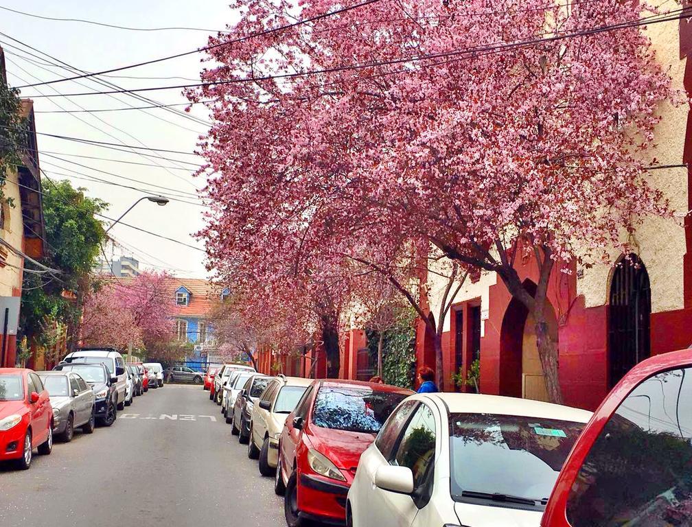 Bed & Breakfast Tralkan
