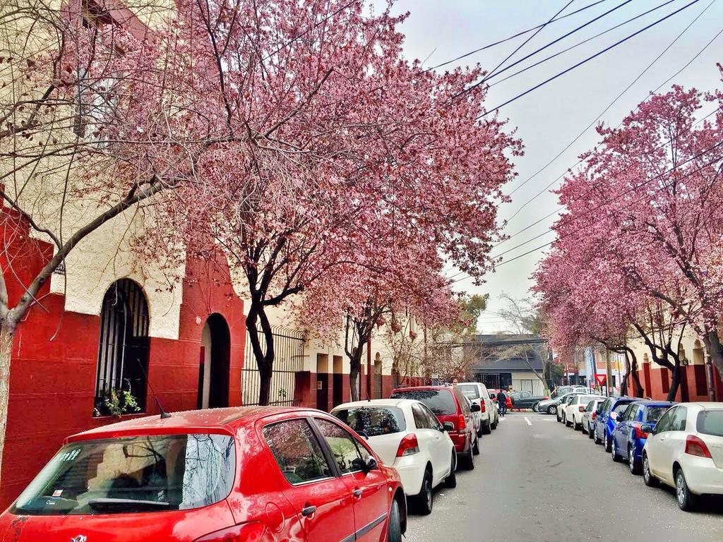Tralkan Bed & Breakfast Santiago