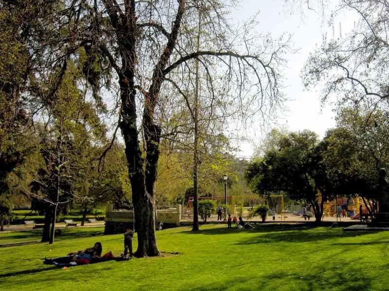 Bellavista Premium Santiago
