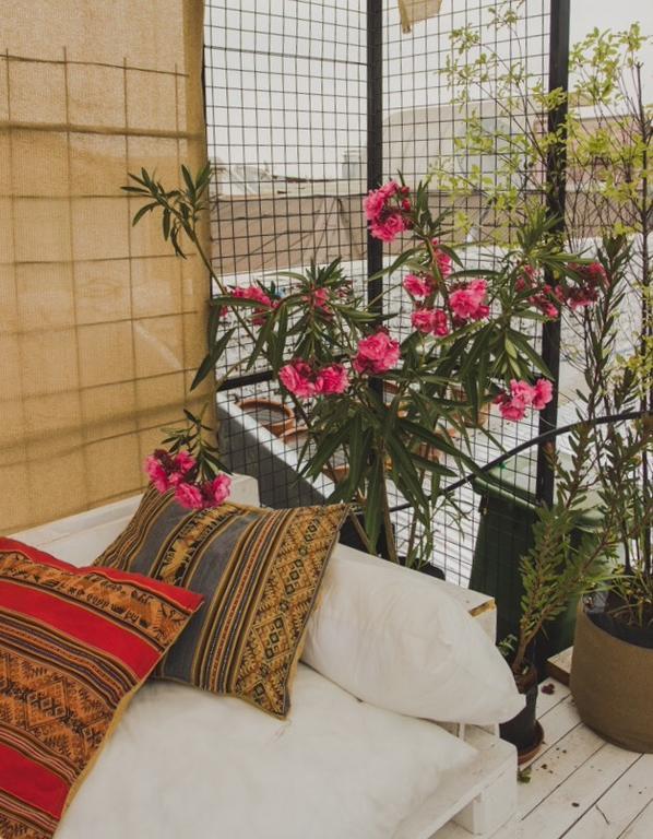 Patio Yungay 3*