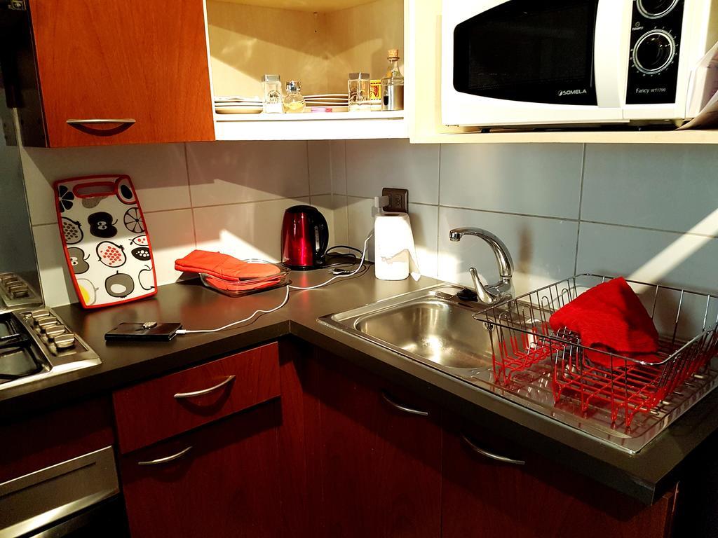 Loft Bellas Artes Lastarria