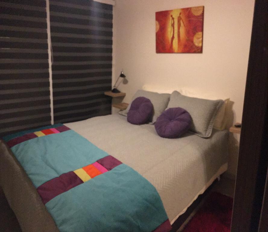 Apartment Moneda 1617 P3 *