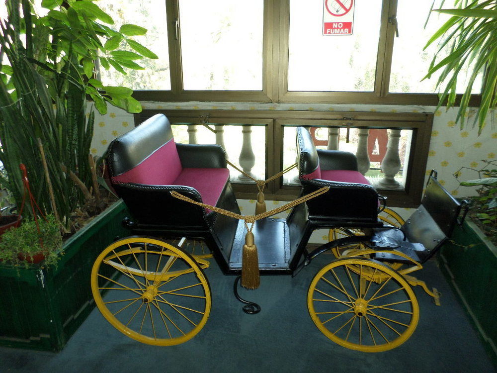 Khách sạn Foresta