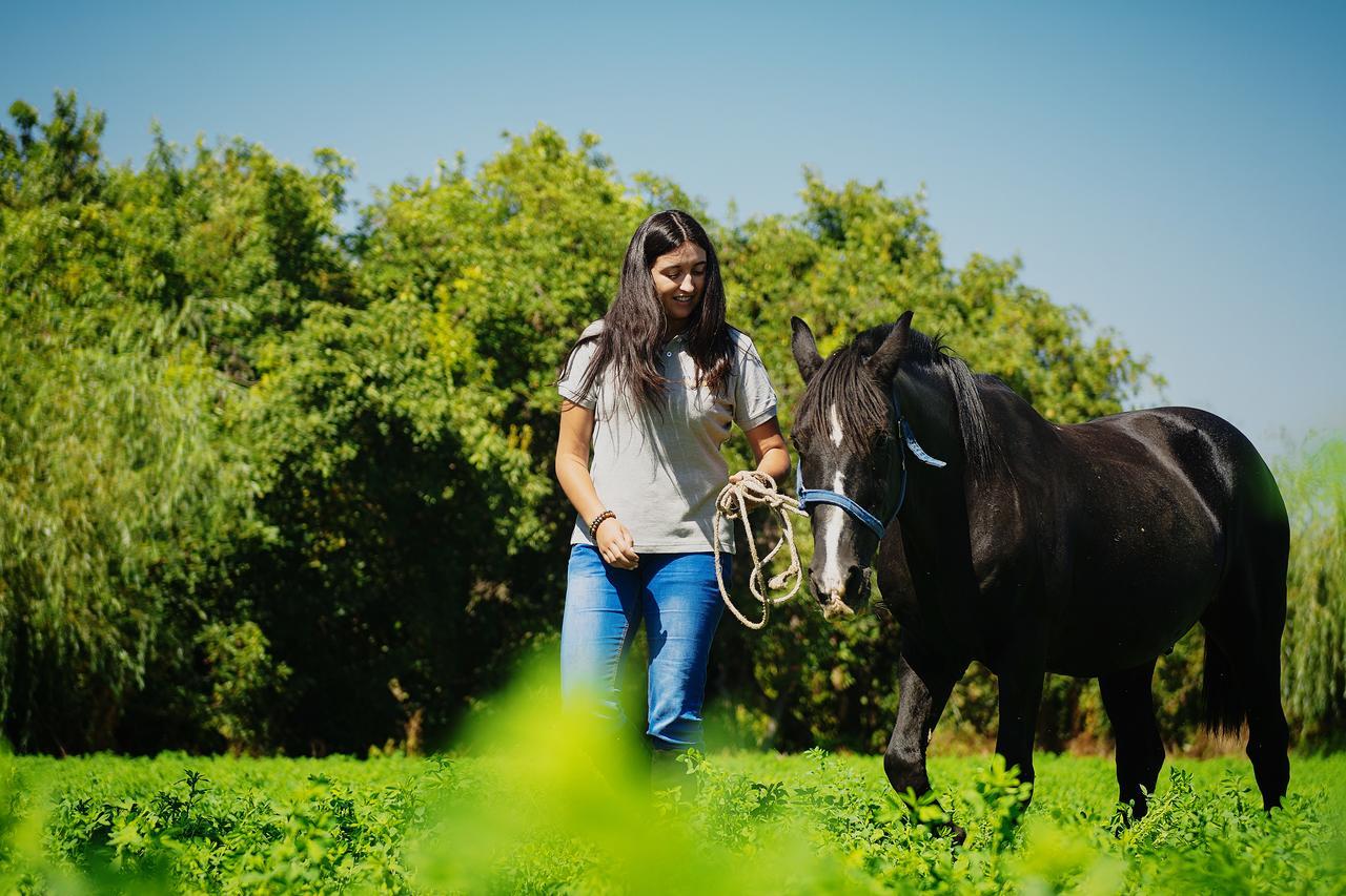 Agroturismo Uva Dulce Farm stay
