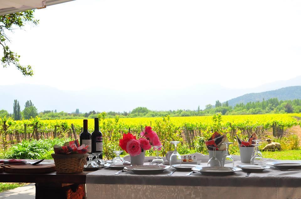 Agroturismo Uva Dulce Farm stay