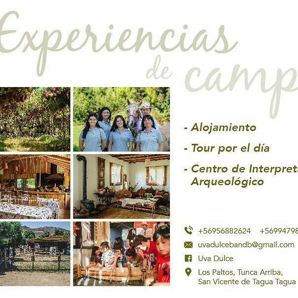 Agroturismo Uva Dulce Farm stay Santiago