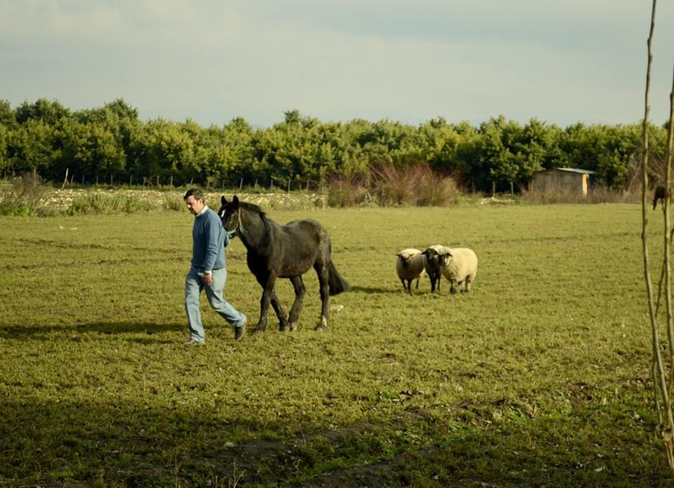 Agroturismo Uva Dulce Farm stay