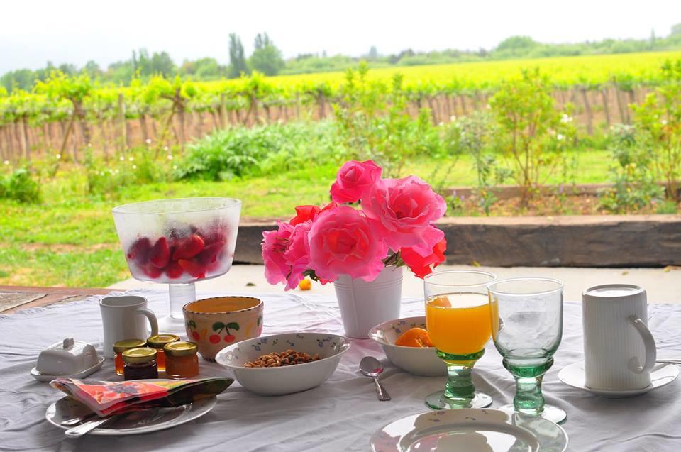 Agroturismo Uva Dulce Farm stay