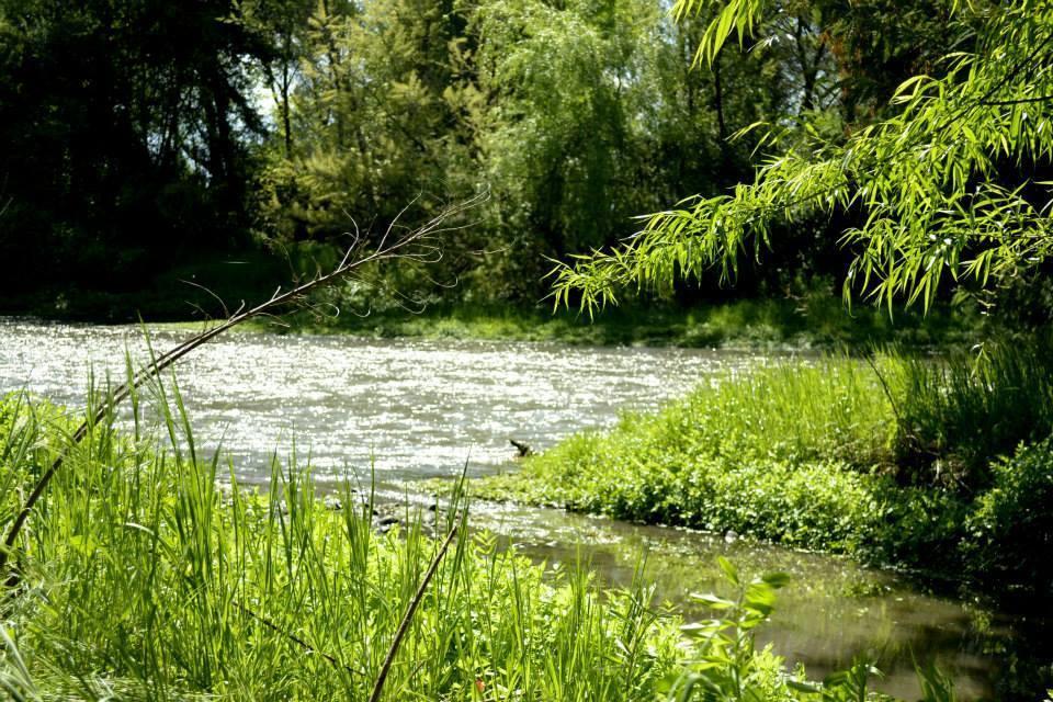 Agroturismo Uva Dulce Farm stay