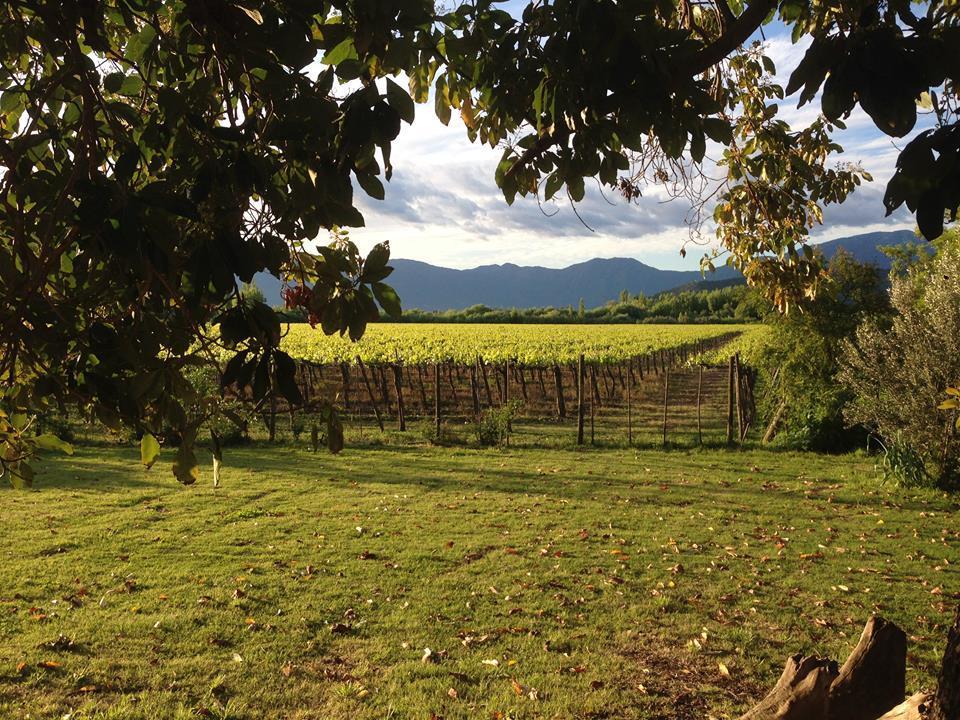 Farm stay Agroturismo Uva Dulce Santiago