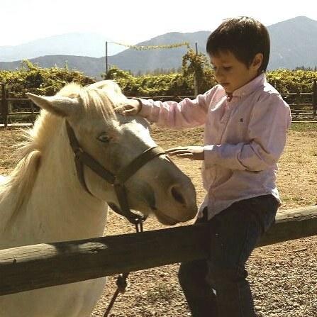 Agroturismo Uva Dulce Farm stay Santiago