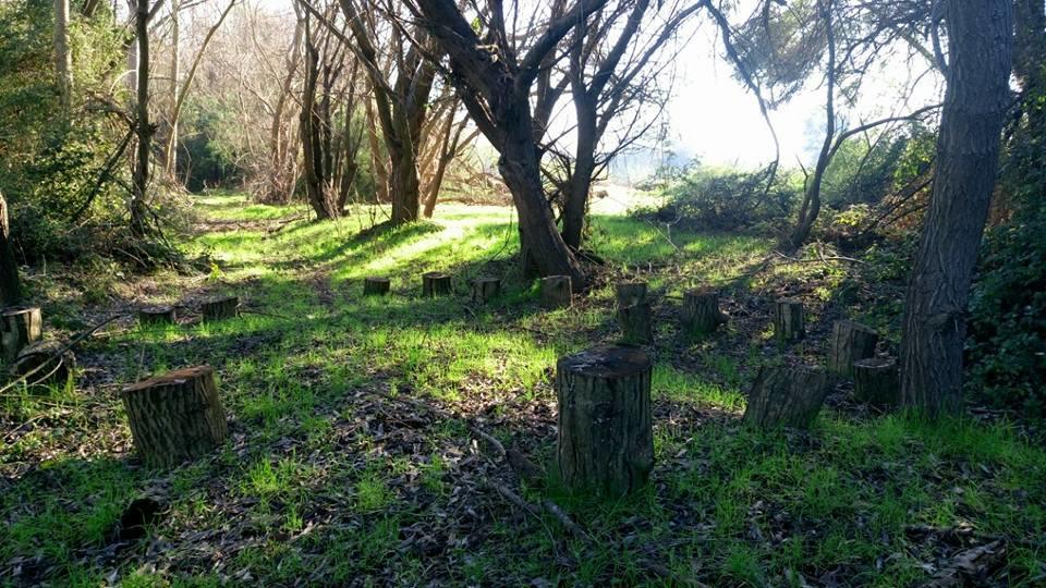 Agroturismo Uva Dulce Farm stay