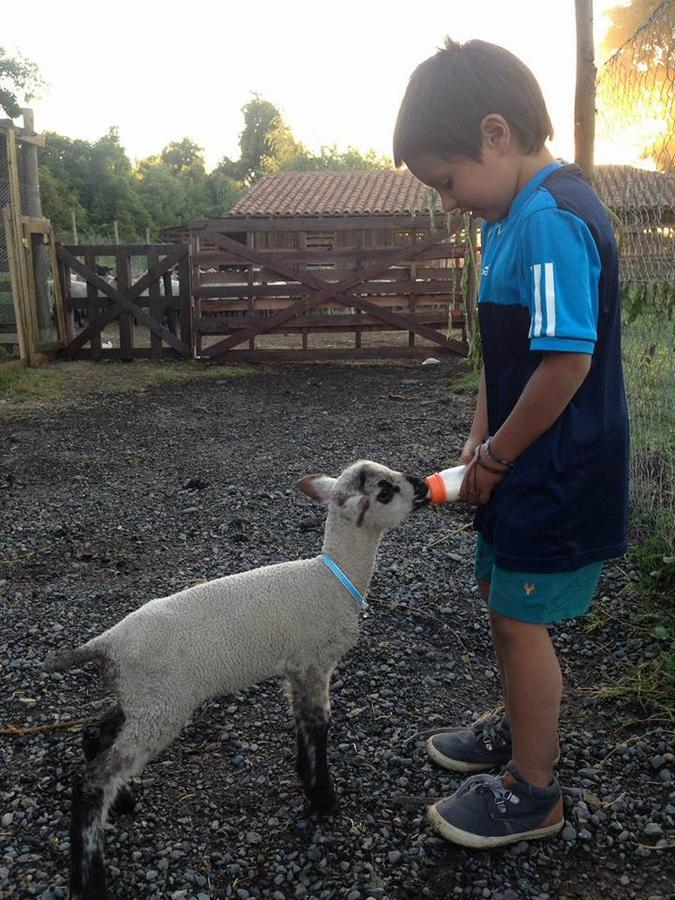 Agroturismo Uva Dulce Farm stay Santiago