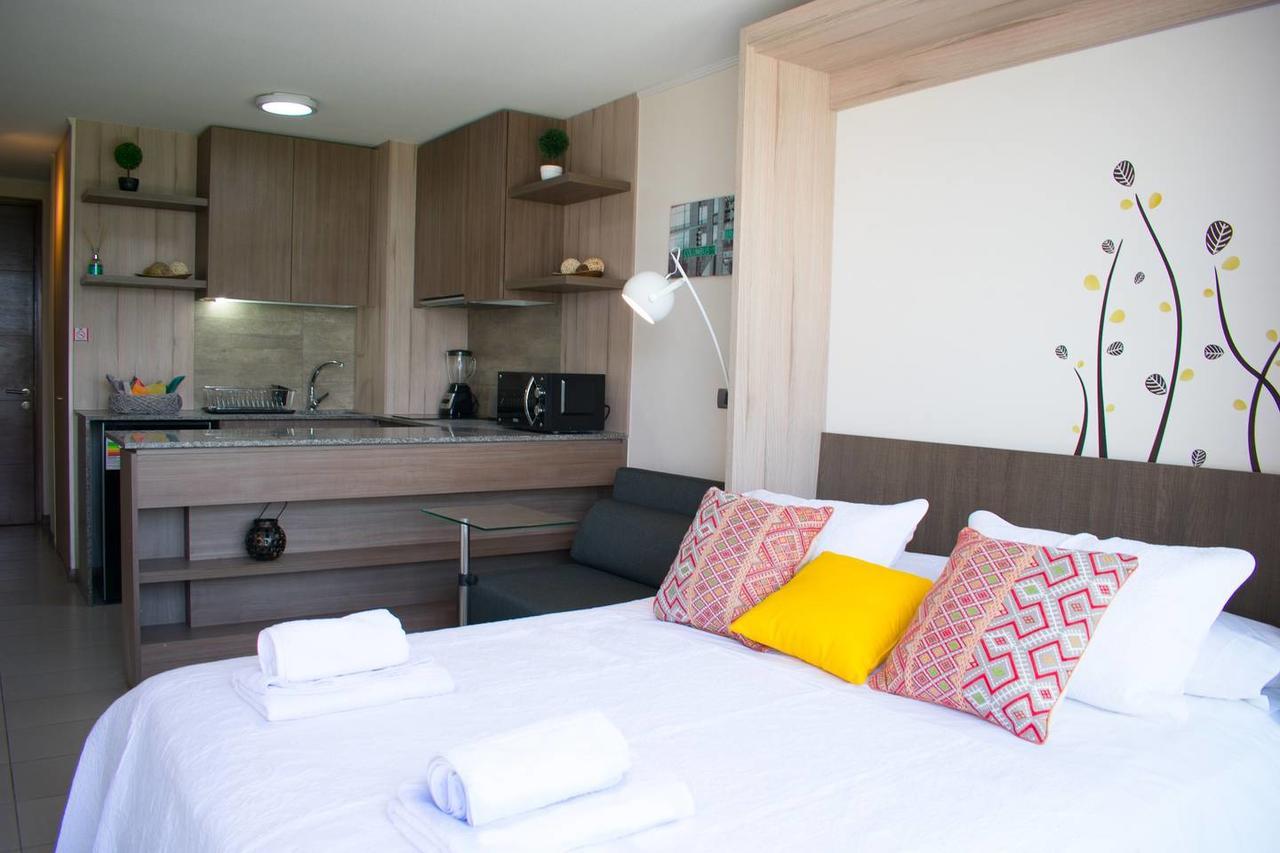 Lotus Blanc Studio- W/ Mountain View, Pool And Gym * Santiago