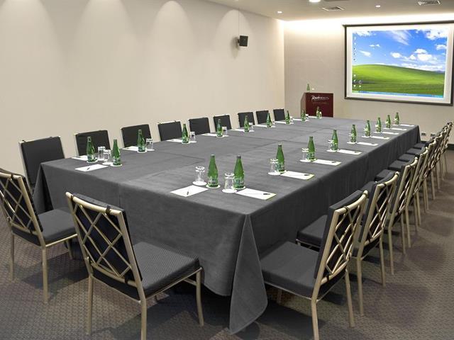 Hotel Radisson Petra La Dehesa