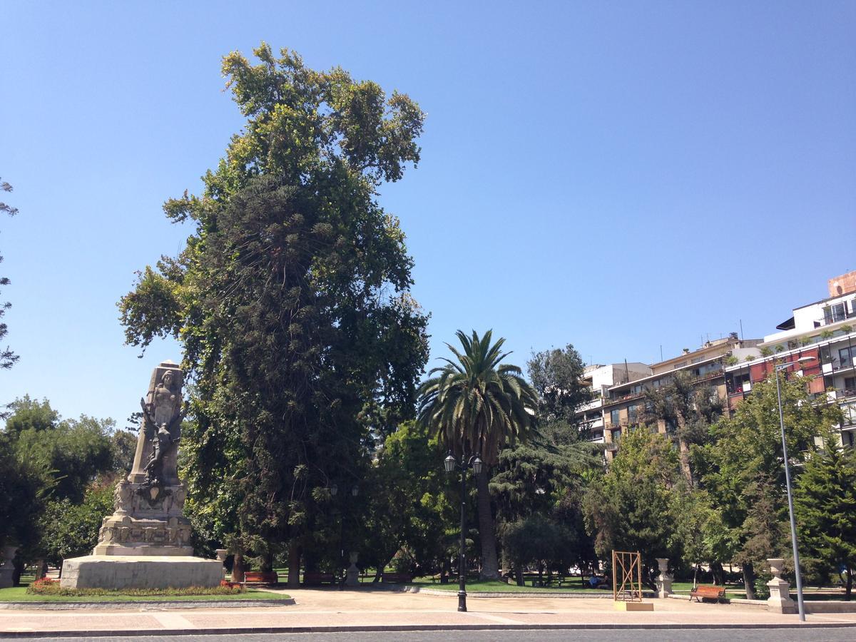 Azzai Bellas Artes Santiago