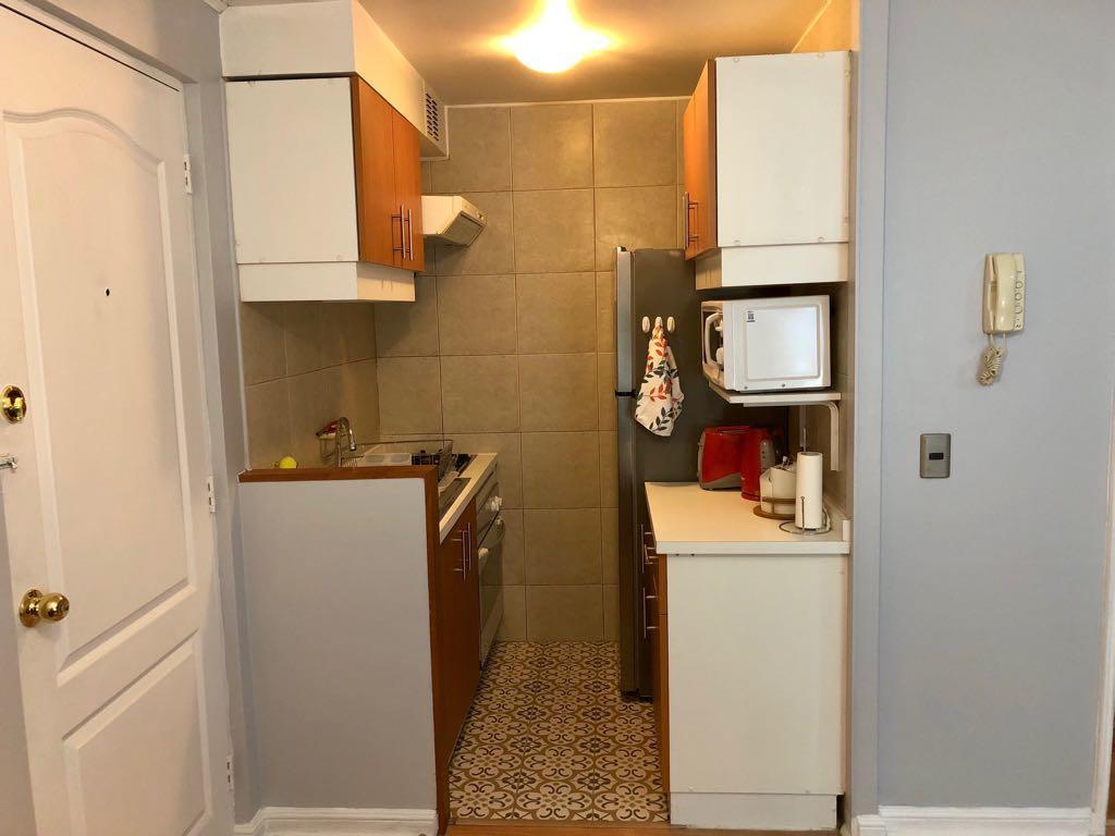 Apartment Lastarria Bellas Artes Santiago