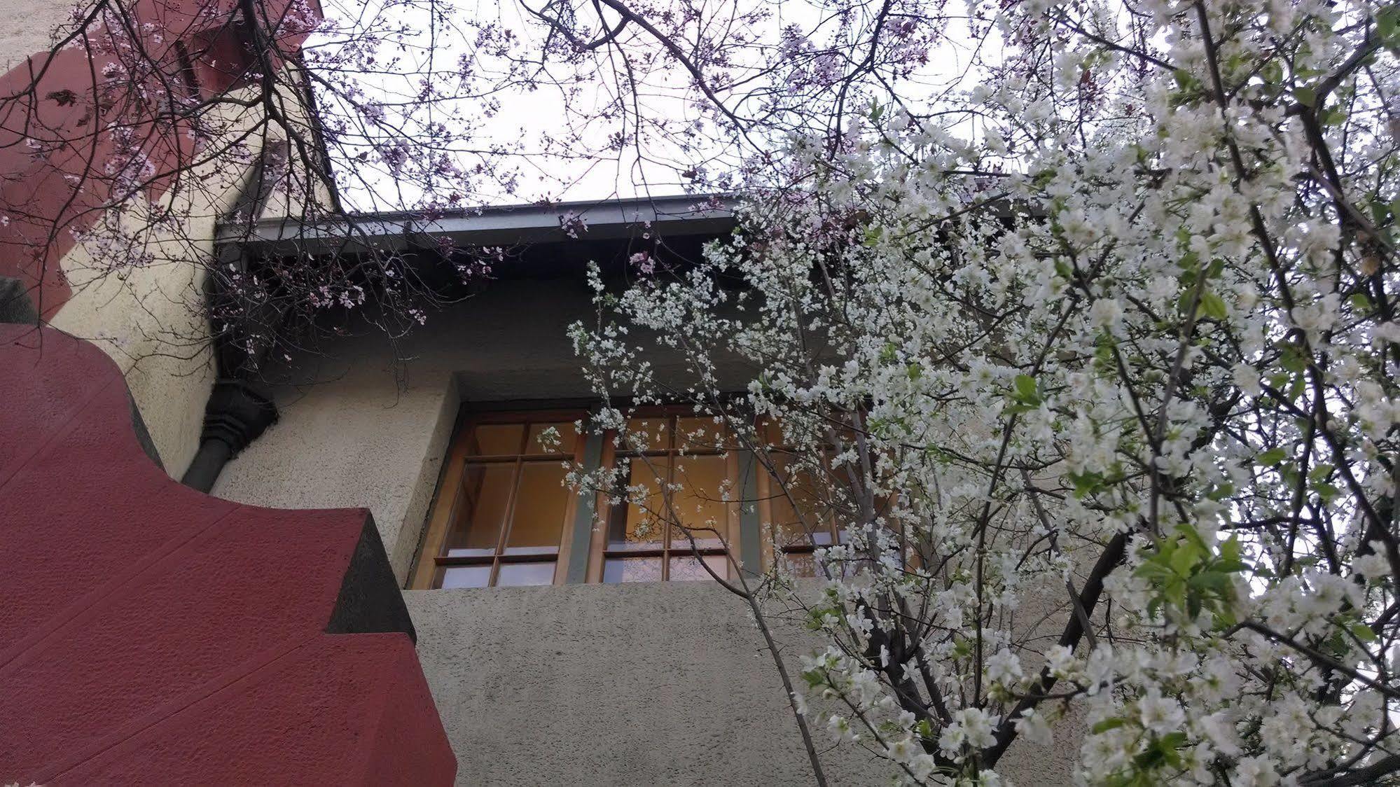 Bed & Breakfast Providencia Bed & Breakfast