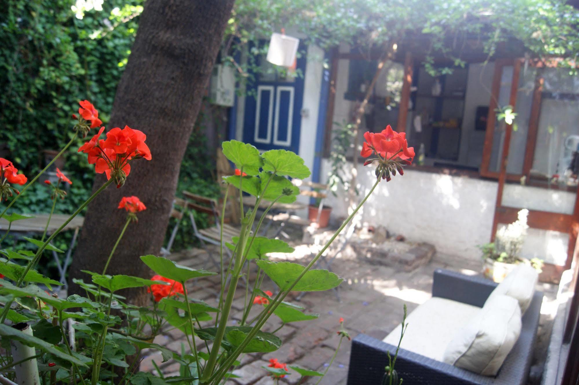 Bed and breakfast Bellavista Santiago de Chile