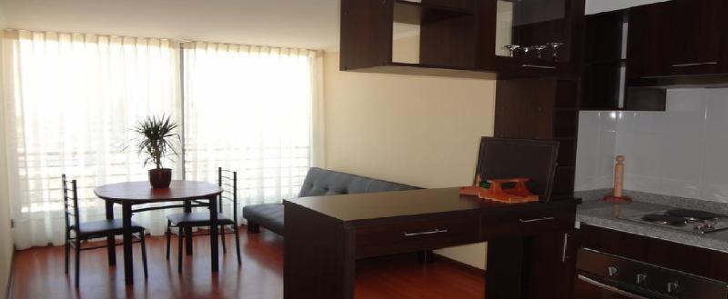 Personal Aparts Downtown * Santiago