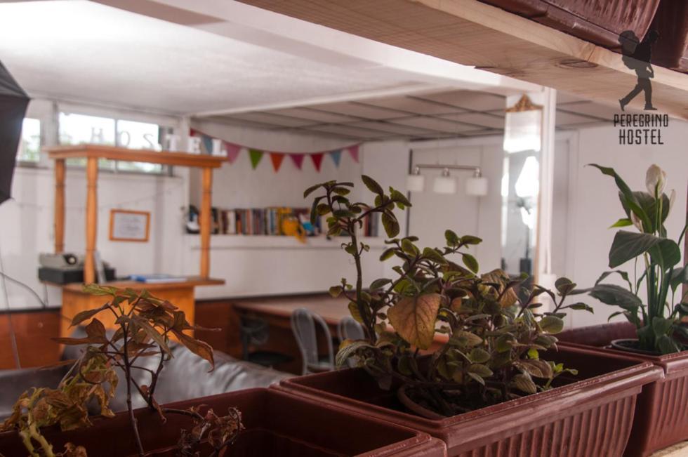 Peregrino Hostel * Santiago