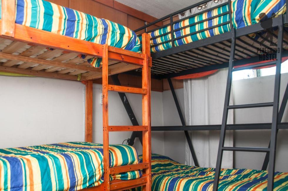Hostel Peregrino Hostel