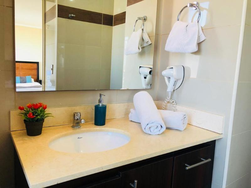 Apartment Urbano Providencia *