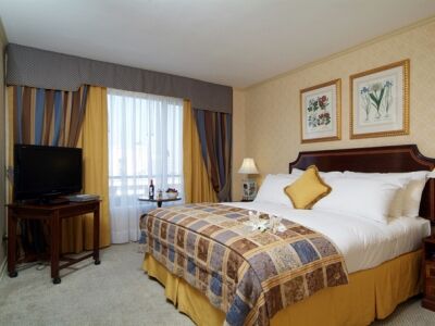 Park Plaza Hotel