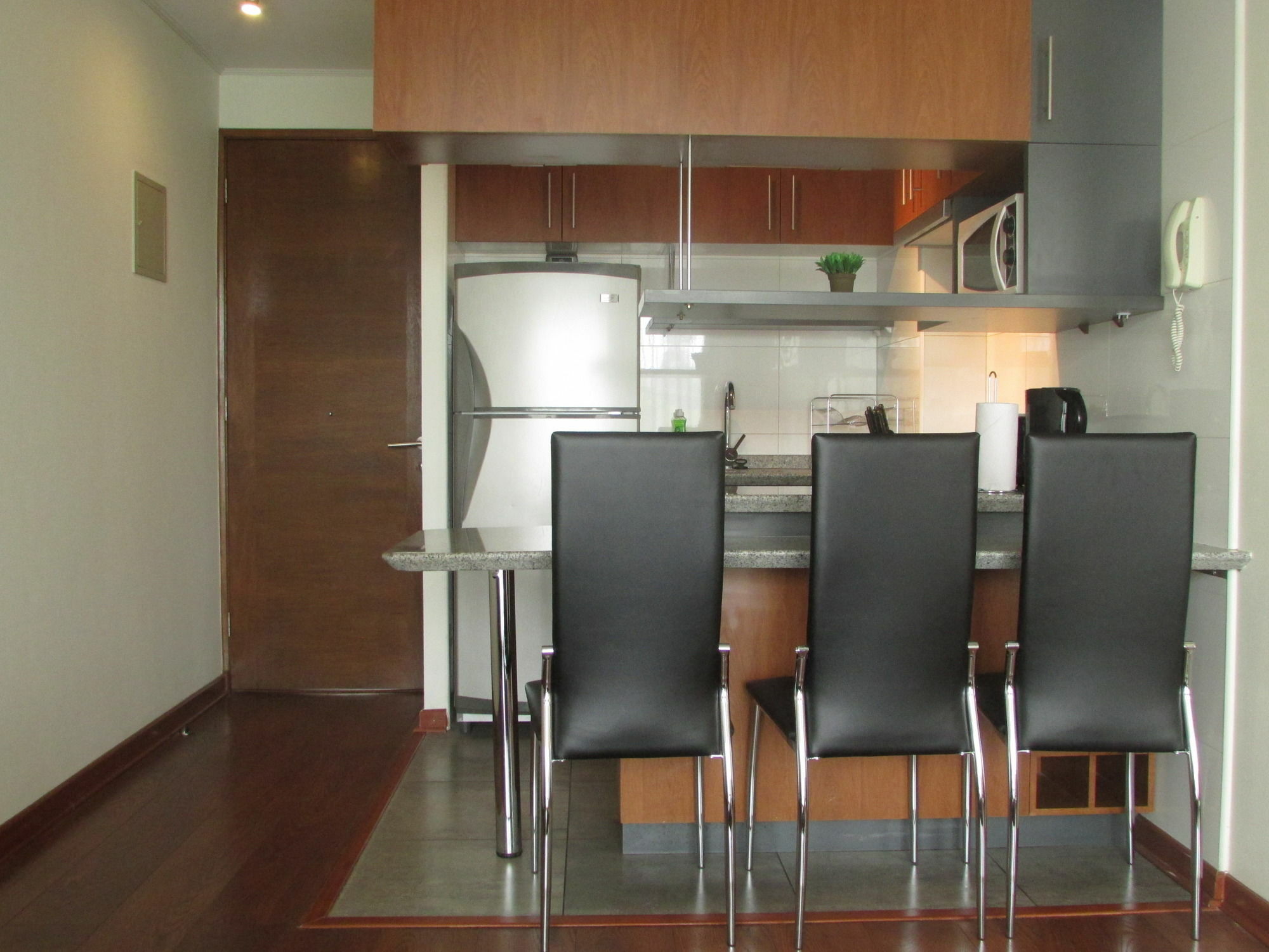 Norus Providencia Apartment *