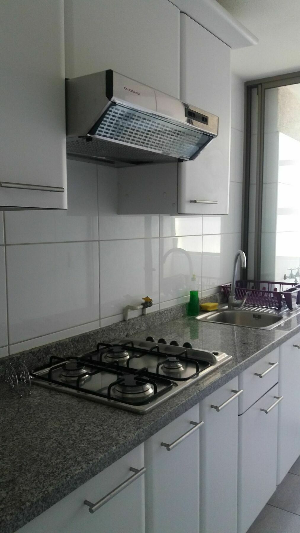 Design Apartment Santiago