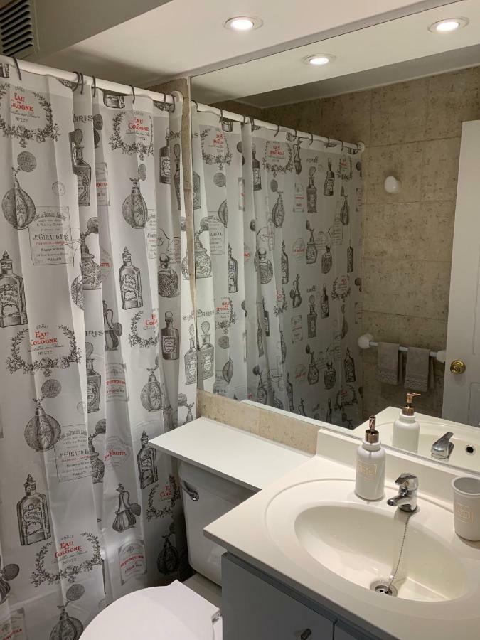 Apartment Lastarria Bellas Artes