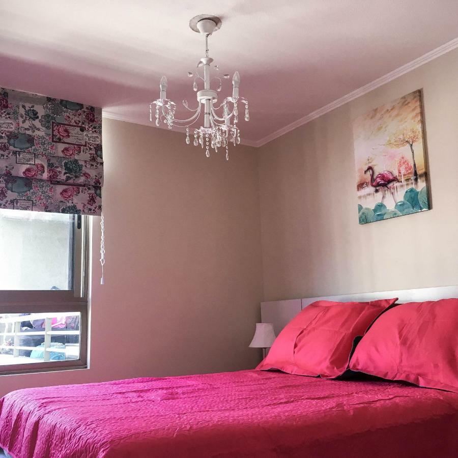 Depto Metro Santa Ana Apartment Santiago