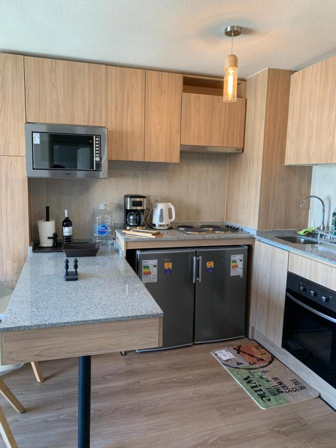 Apartment Centro - Dpto Boutique Familiar Santiago