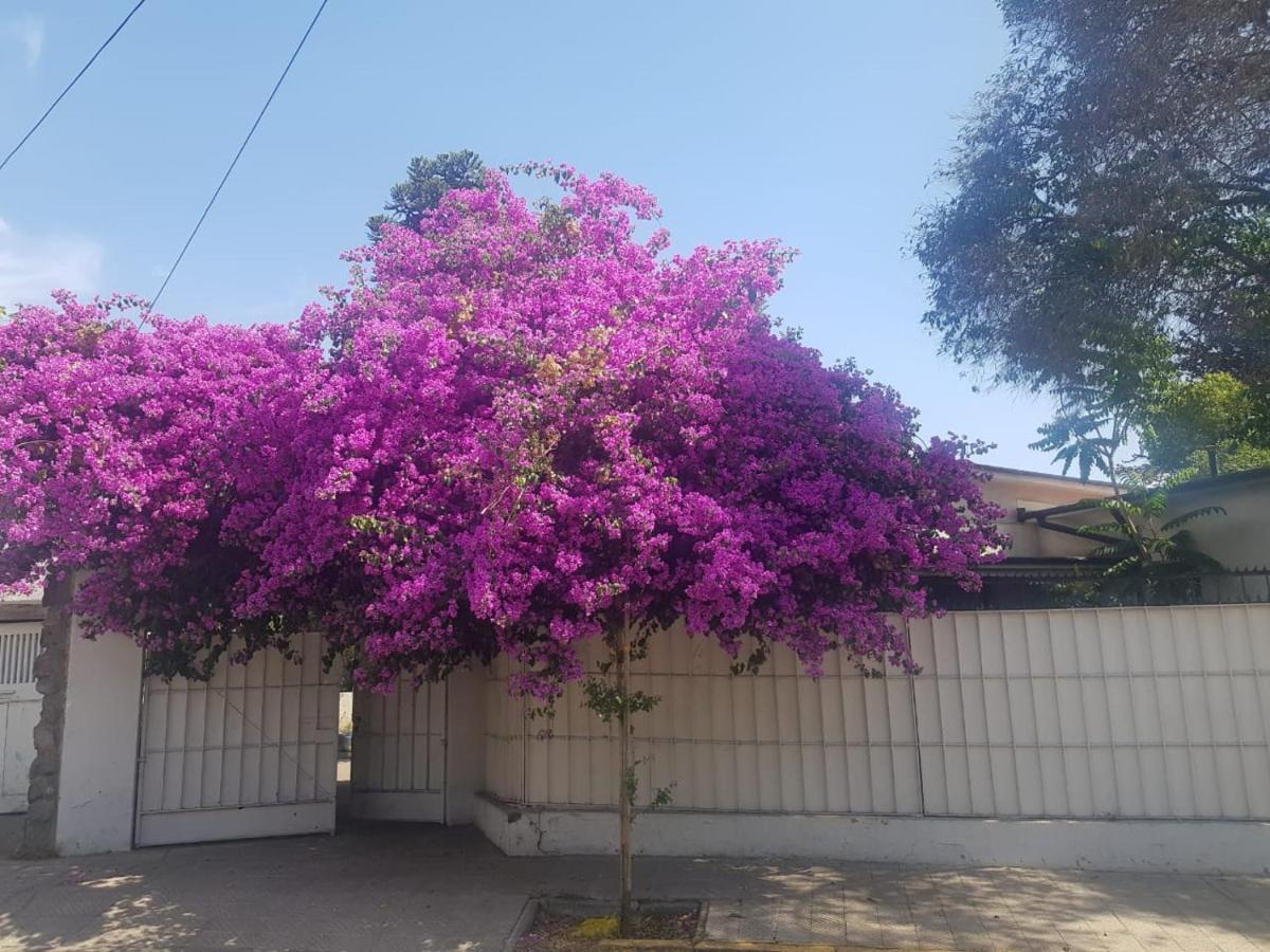 Homestay Refugio En Barrio Italia - Casa Completa O Por Santiago