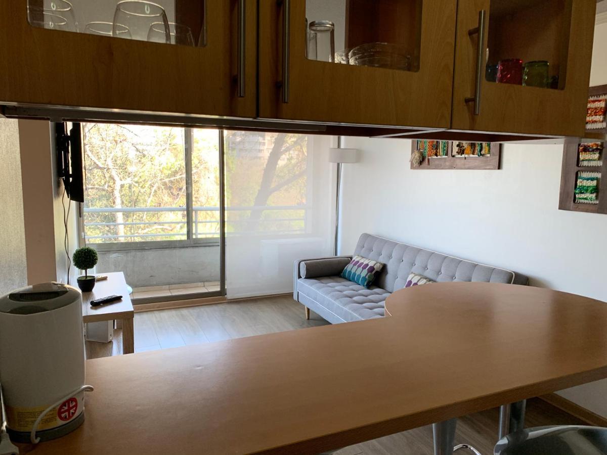 Apartment Departamento Amoblado Providencia Santiago