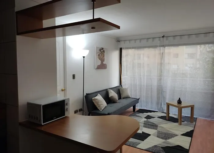 Comodo Departamento 1 Dormitorio En La Florida, Santiago