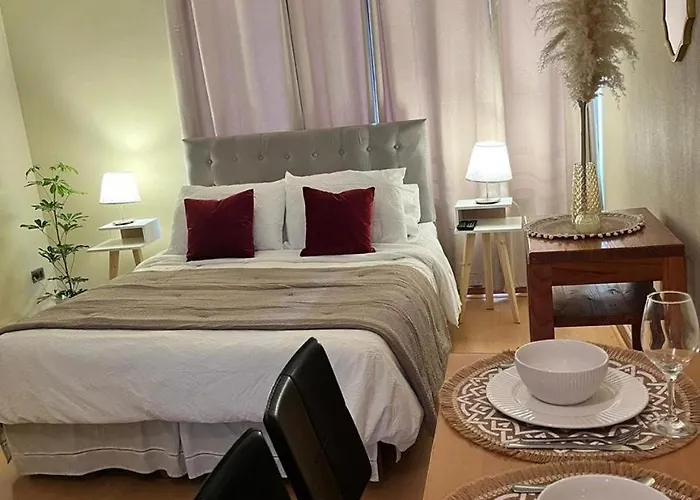 Hermoso Home Studio En El Centro De Santiago