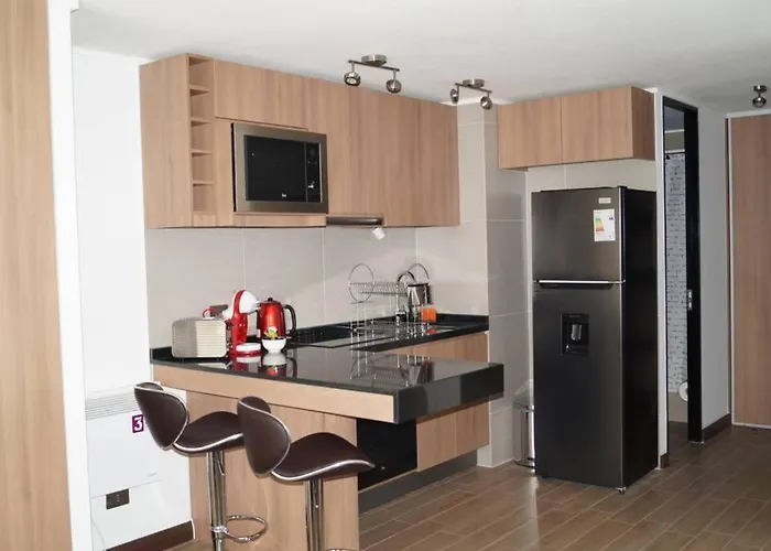 Departamento En Exclusivo Sector De Santiago