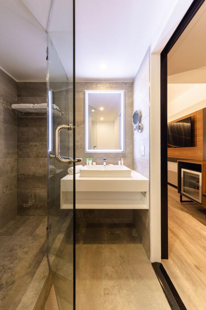 Hotel Novotel Providencia Santiago