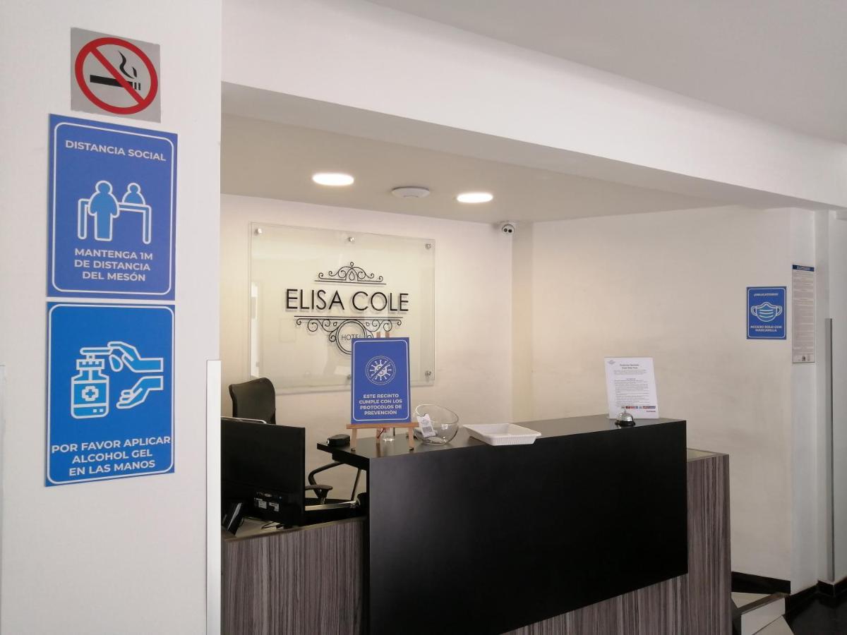 Elisa Cole Hotel Santiago de Chile