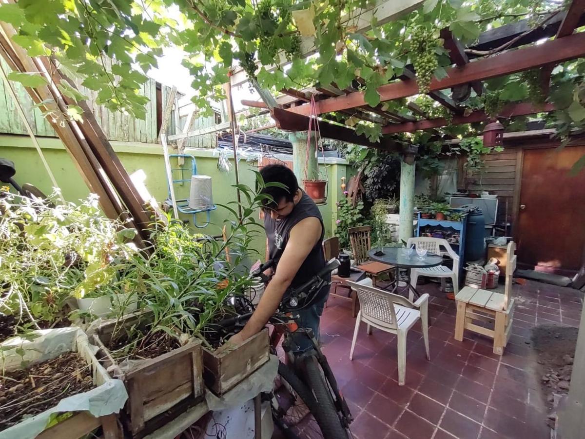 Homestay Gatos Traviesos Santiago