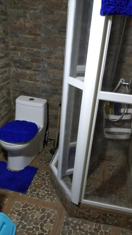 Homestay Gatos Traviesos