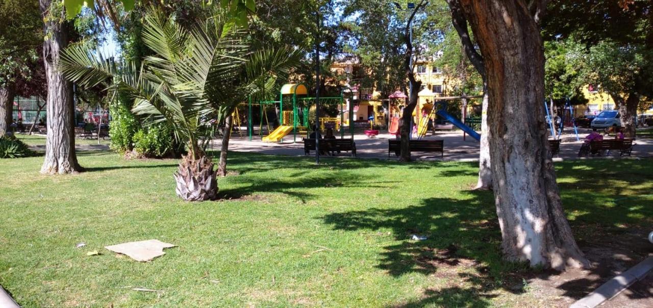 Gatos Traviesos Homestay *